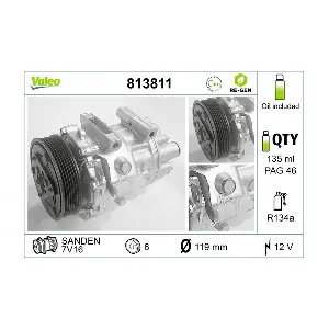 813811 VALEO
