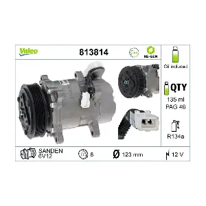 813814 VALEO
