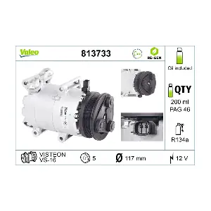 813733 VALEO