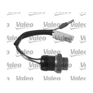 819828 VALEO