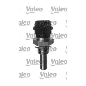 700029 VALEO