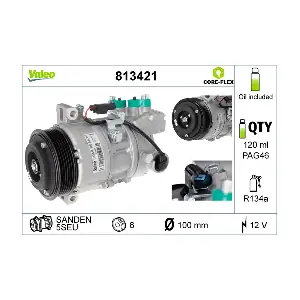 813421 VALEO