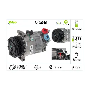 813619 VALEO