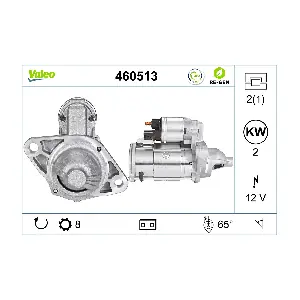 460513 VALEO