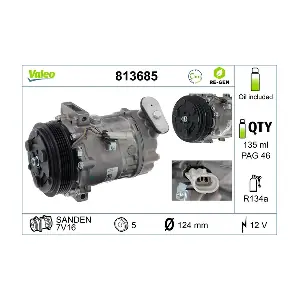 813685 VALEO