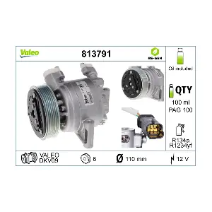 813791 VALEO