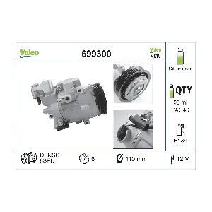699300 VALEO