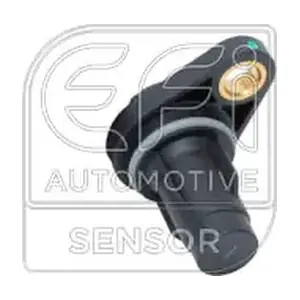 303524 EFI AUTOMOTIVE