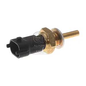 295134 EFI AUTOMOTIVE