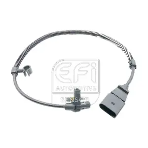 303550 EFI AUTOMOTIVE