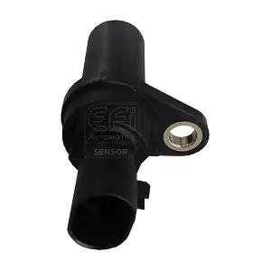303183 EFI AUTOMOTIVE