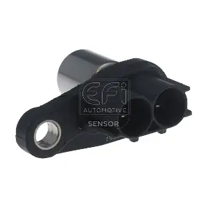 303463 EFI AUTOMOTIVE