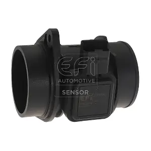 305050 EFI AUTOMOTIVE