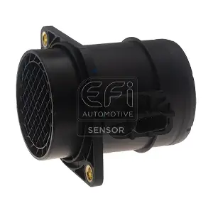 305188 EFI AUTOMOTIVE