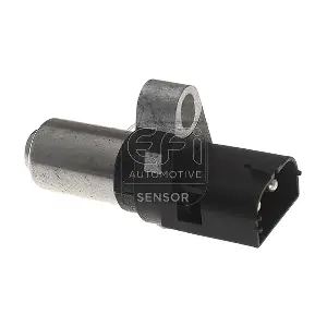 302202 EFI AUTOMOTIVE