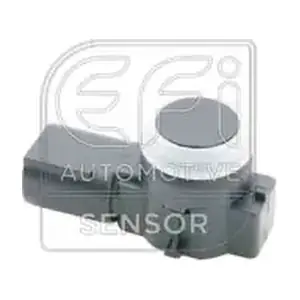 306080 EFI AUTOMOTIVE