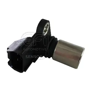 303251 EFI AUTOMOTIVE