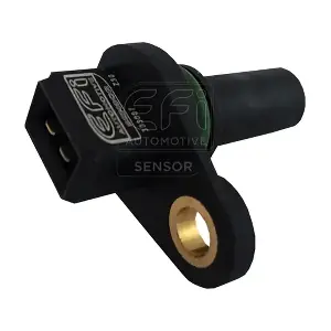 303007 EFI AUTOMOTIVE