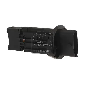 305043 EFI AUTOMOTIVE