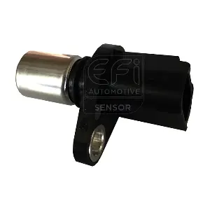 303246 EFI AUTOMOTIVE