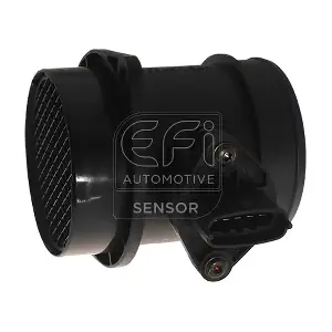 305056 EFI AUTOMOTIVE