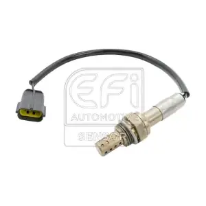 301391 EFI AUTOMOTIVE