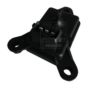 291005 EFI AUTOMOTIVE