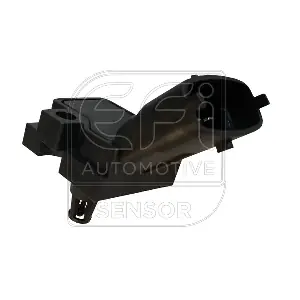 291079 EFI AUTOMOTIVE