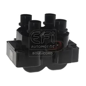 155011 EFI AUTOMOTIVE