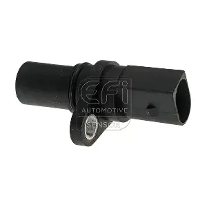303216 EFI AUTOMOTIVE