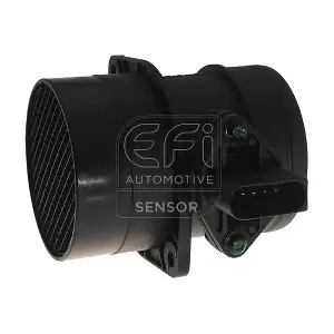 305074 EFI AUTOMOTIVE