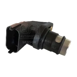 303213 EFI AUTOMOTIVE