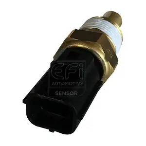 295159 EFI AUTOMOTIVE