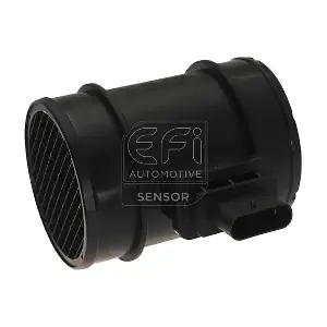 305101 EFI AUTOMOTIVE