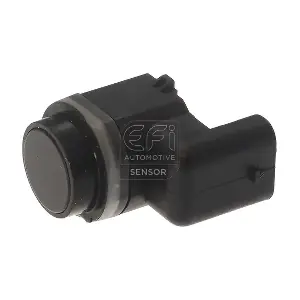 306070 EFI AUTOMOTIVE
