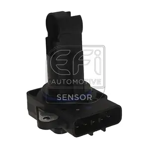 305096 EFI AUTOMOTIVE
