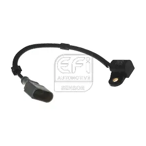 303293 EFI AUTOMOTIVE