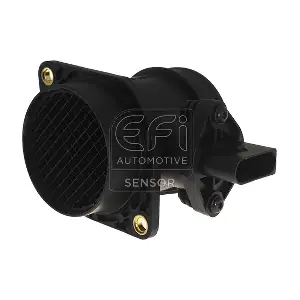 305116 EFI AUTOMOTIVE