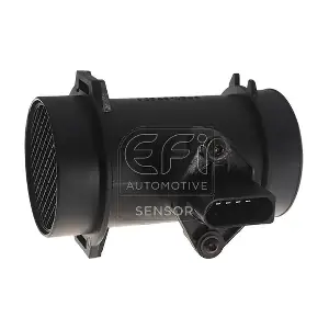 305144 EFI AUTOMOTIVE