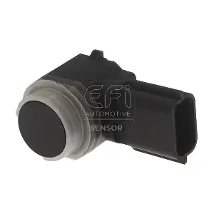 306053 EFI AUTOMOTIVE