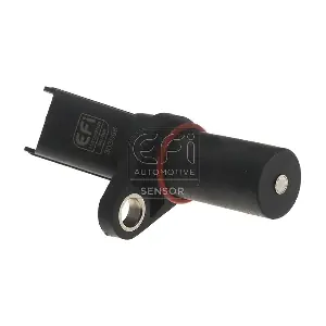 303085 EFI AUTOMOTIVE