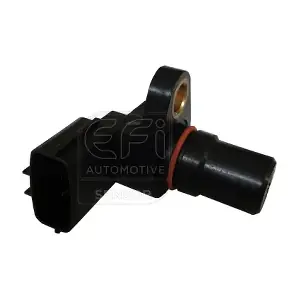 303129 EFI AUTOMOTIVE