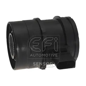 305053 EFI AUTOMOTIVE