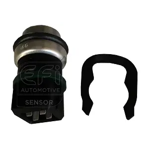 295130 EFI AUTOMOTIVE