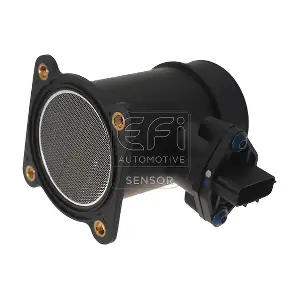 305003 EFI AUTOMOTIVE