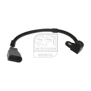 303304 EFI AUTOMOTIVE