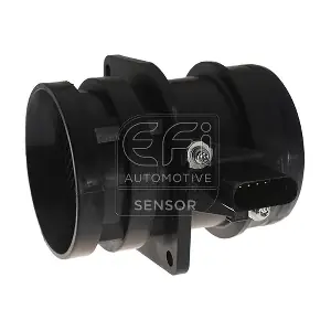 305033 EFI AUTOMOTIVE