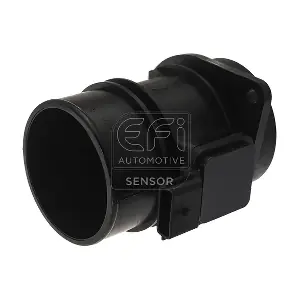 305022 EFI AUTOMOTIVE