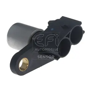 303474 EFI AUTOMOTIVE