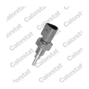 WS2938 CALORSTAT by Vernet